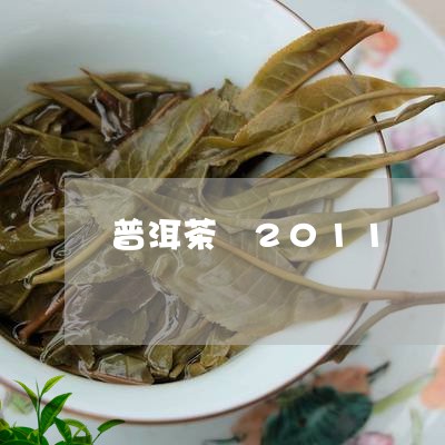 普洱茶 2011/2023031771604